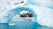 antarctica-photos-8.jpg