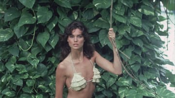 carol-alt.jpg