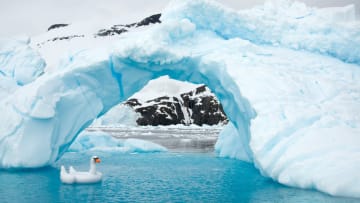 antarctica-photos-8.jpg