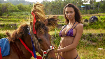 lais-horse.jpg
