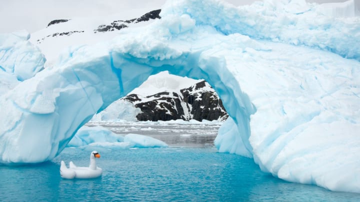 antarctica-photos-8.jpg