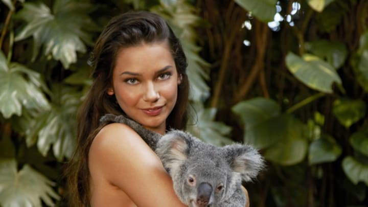 animals-michelle-v-koala1.jpg