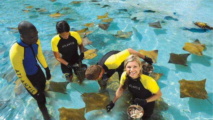 Stingray_Experience_14734---Go-Convergence---GALLERY.jpg Stingray_Experience_14734---Go-Convergence---GALLERY.jpg