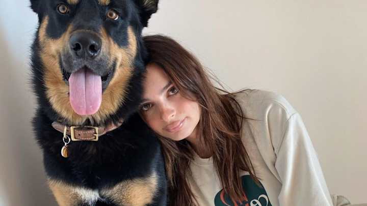 130736698_3549477428478570_824268105669511335_n 130736698_3549477428478570_824268105669511335_n