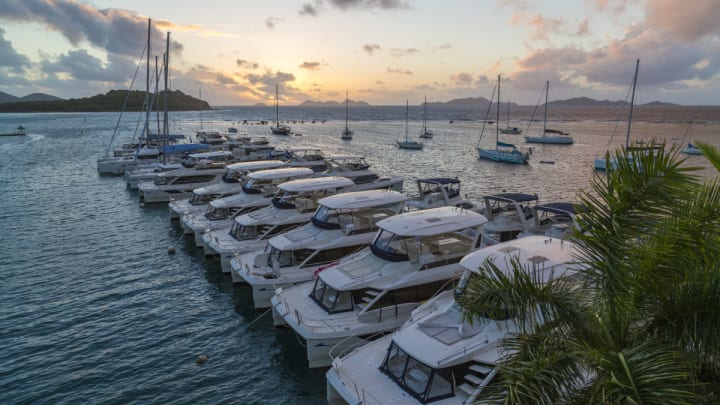 _Q0A4871_Â©JimRaycroft