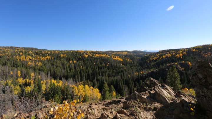 Battle-Pass-Scenic-Byway-Fall-CarbonCounty-11_credit Wyoming Office of Tourism