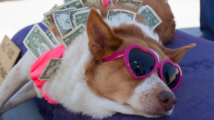 Financial Influencer Tips