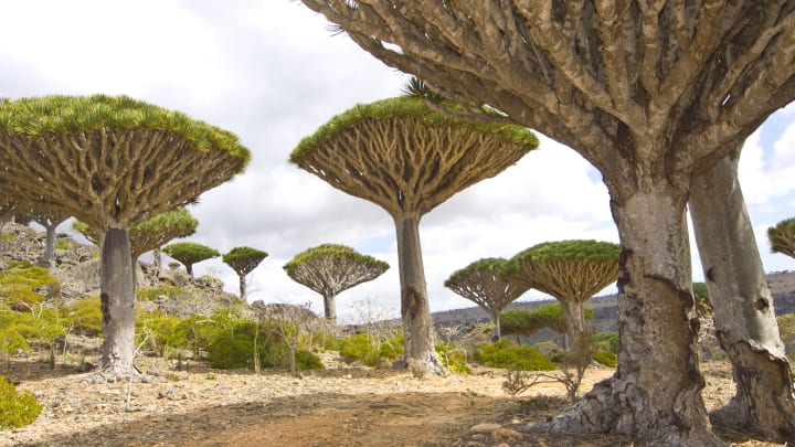 SwimTravel_DreamDestinations_Greece_1