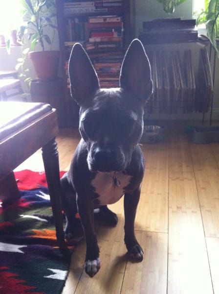 sasha18.jpg