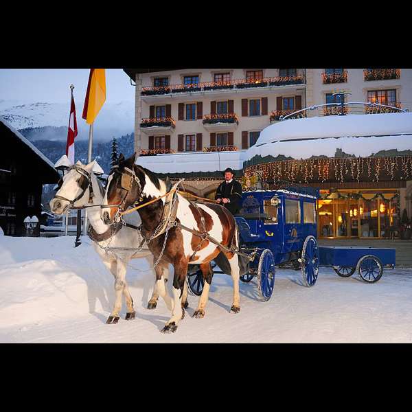 swiss-2.jpg