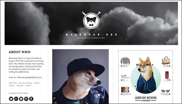 blog