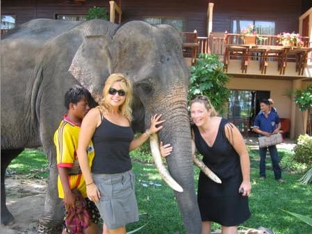 mj-elephant