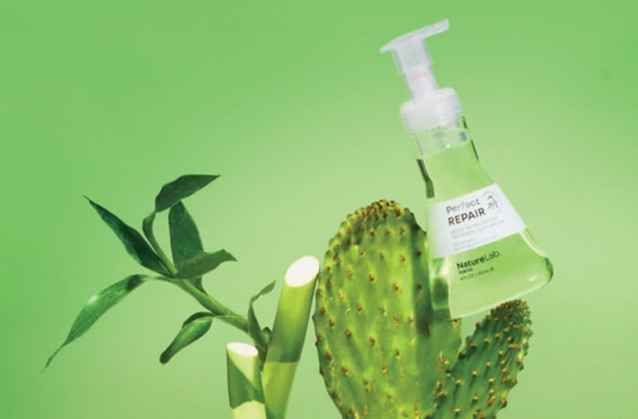 NatureLab Perfect Repair Leave In Treatment