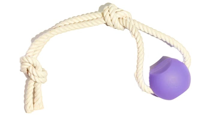 Overhead-BallRope_900x