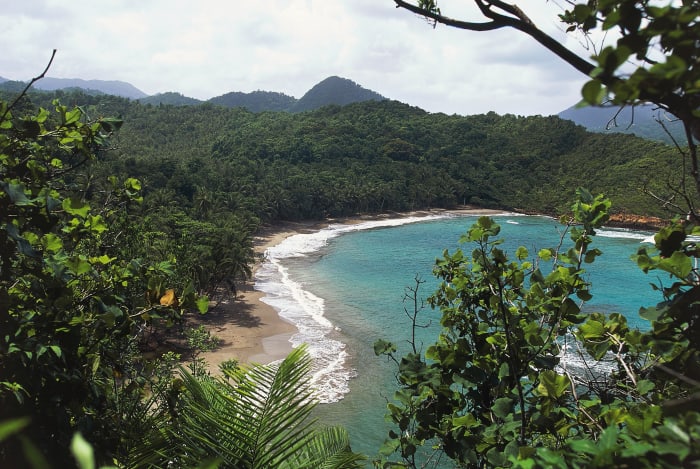 The 7 Best Beaches In Dominica For All Activities From Adventuring To Relaxing Swimsuit