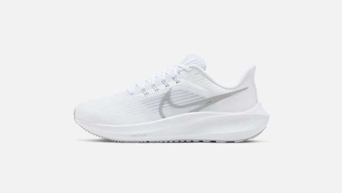 Nike Pegasus Air Zoom