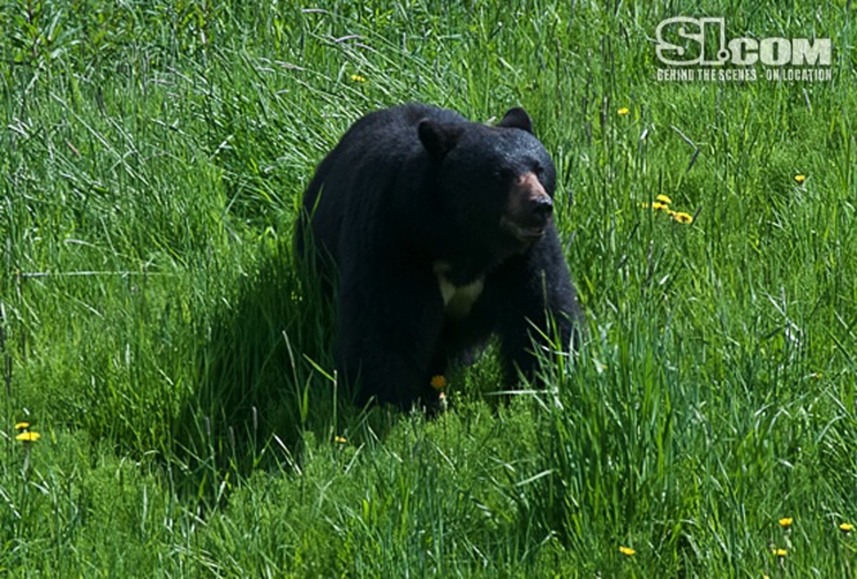 10_whistler-canada_04.jpg