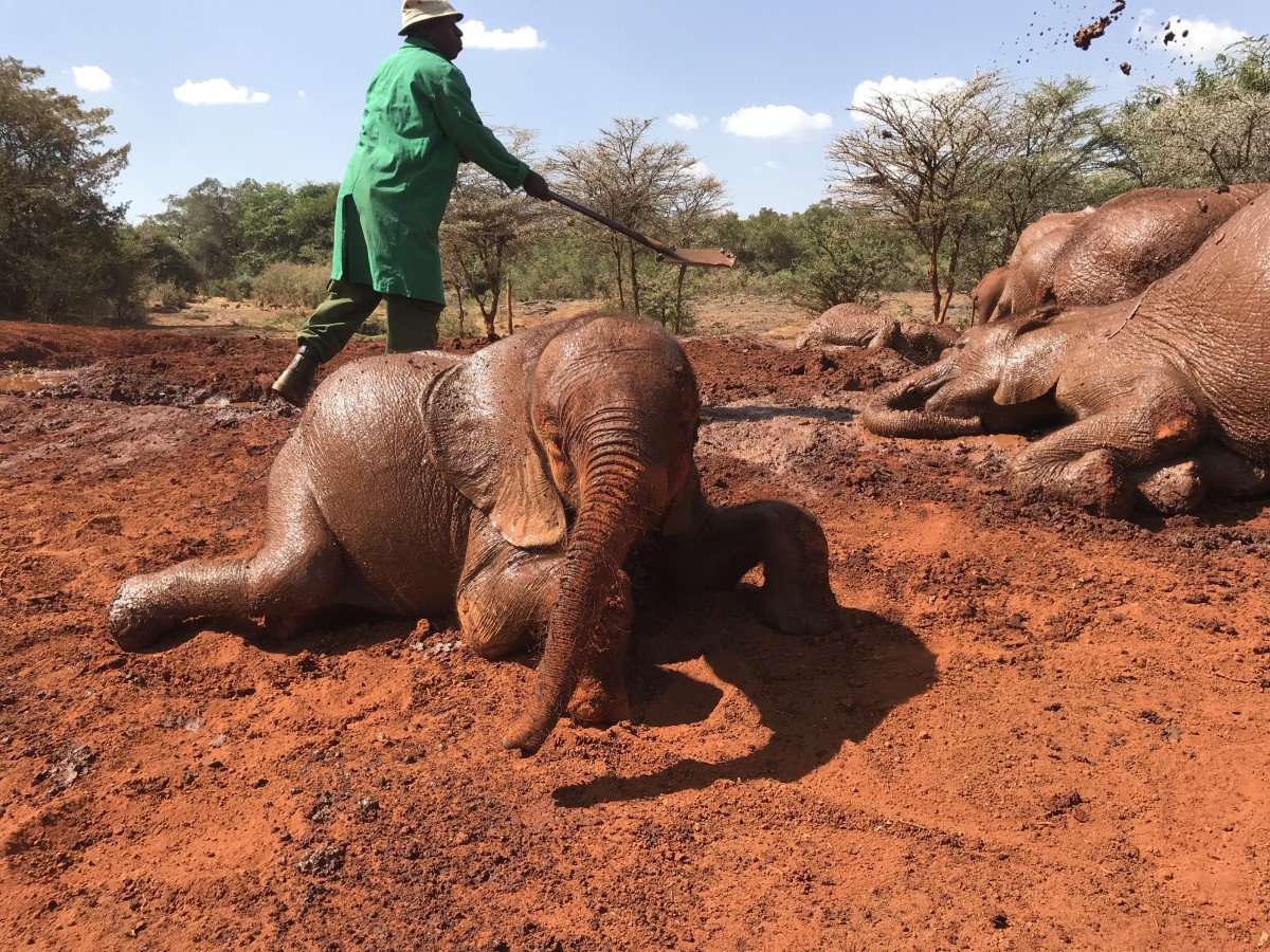 Musiara mud bath (9) - GALLERY.jpg