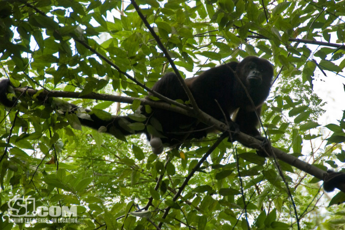 08_nicaragua_18.jpg