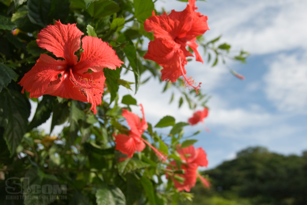 08_nicaragua_61.jpg