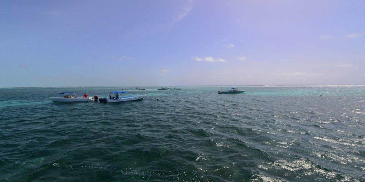 2.1. Hol Chan Marine Reserve, North Islands