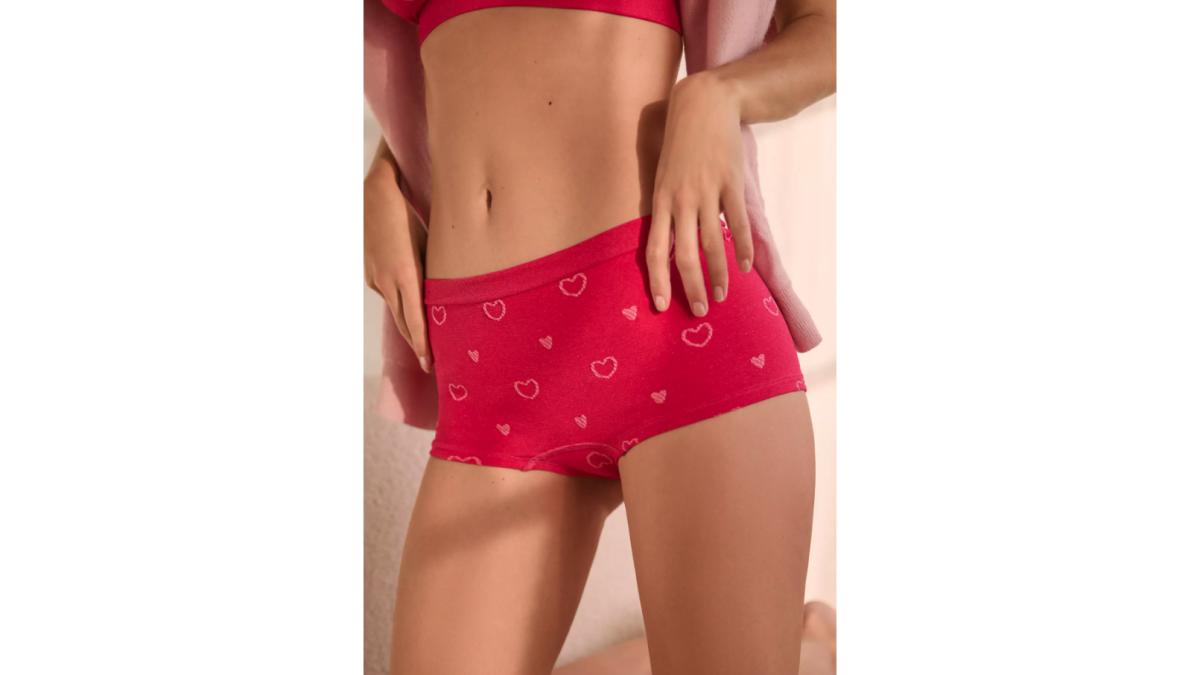 By Anthropologie Heart Hipster Knickers