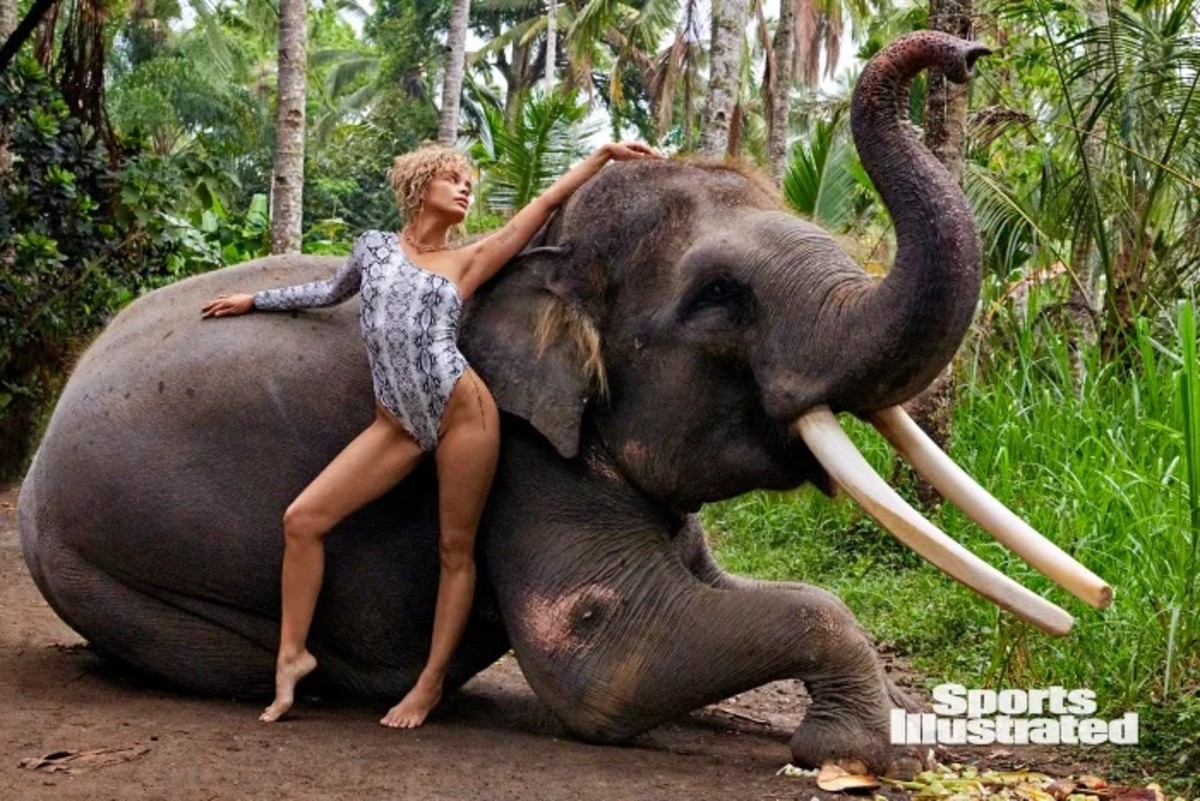 Jasmine Sanders stands in front of an elephant wearing a snake-printed one-shoulder one-piece swimsuit.